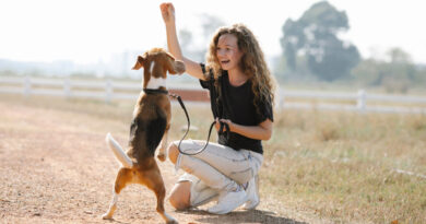 Unlocking the Power of Dog Training
