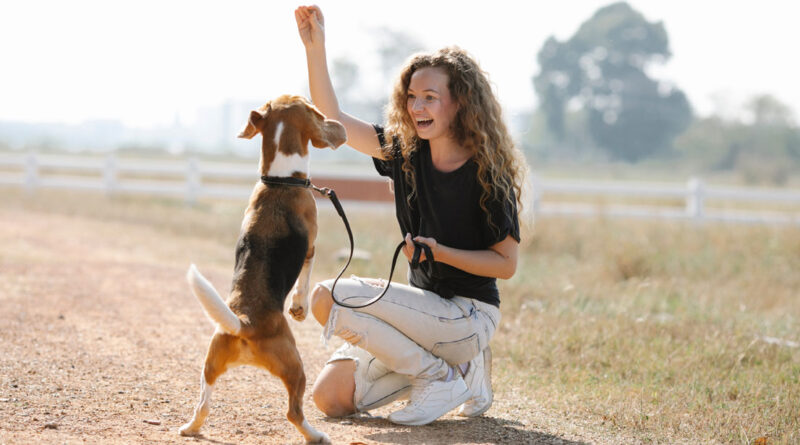 Unlocking the Power of Dog Training